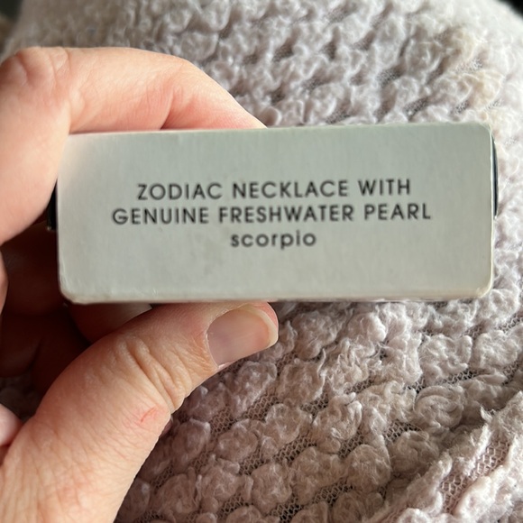 4 items for $20 Avon ♏️ Scorpio necklace - Picture 3 of 8